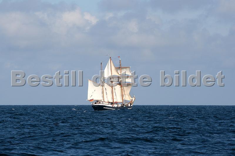 Thor_Heyerdahl_9.jpg