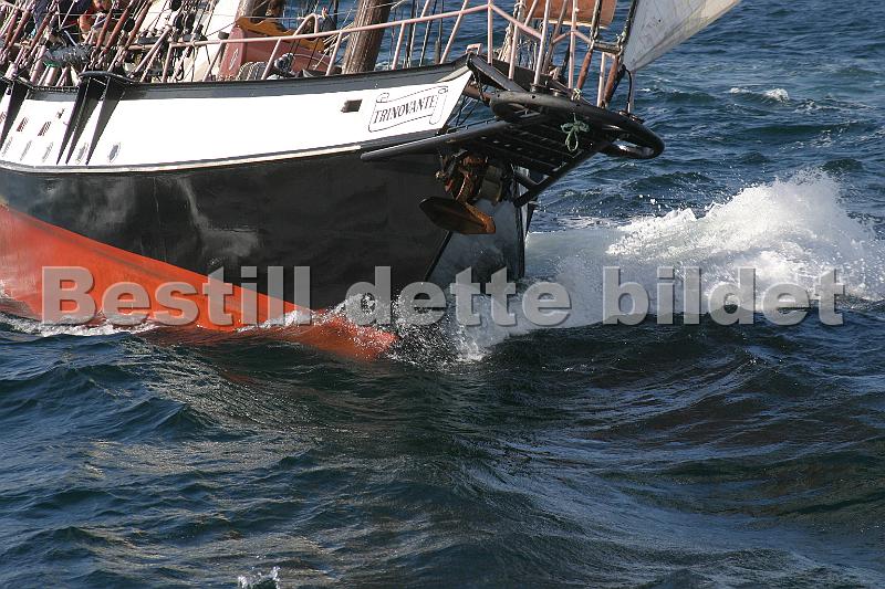 Trinovante_4.jpg