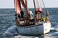Aglaia_2