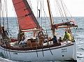 Aglaia_3