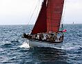 Aglaia_4
