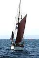 Aglaia_6