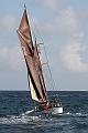 Morning_Star_7