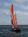 Swan_8