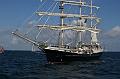 Tenacious_15