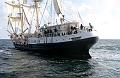 Tenacious_7