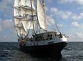 Tenacious_8