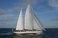 Urania_3
