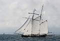 Wylde_Swan_1