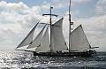 Wylde_Swan_2