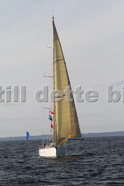 IMG_9680.JPG