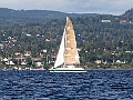 NOR254M_1