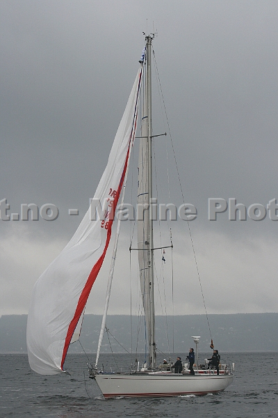 NOR8979_3.jpg