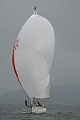 NOR8979_1