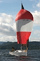 USA50390_2