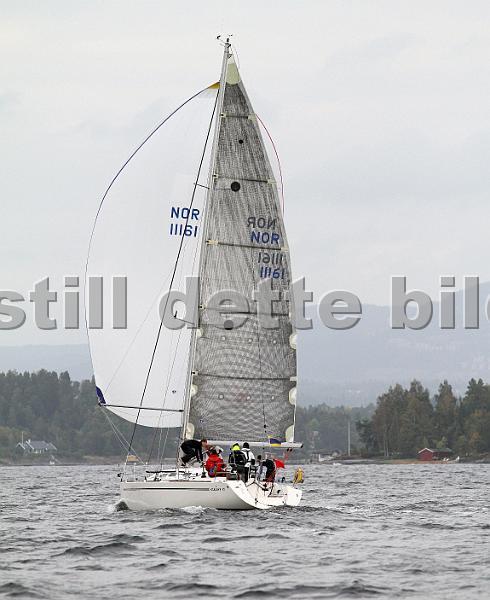 NOR11161_3.jpg