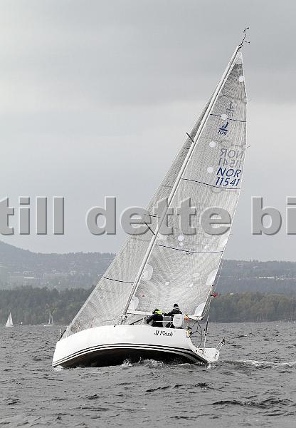 NOR11541_4.jpg