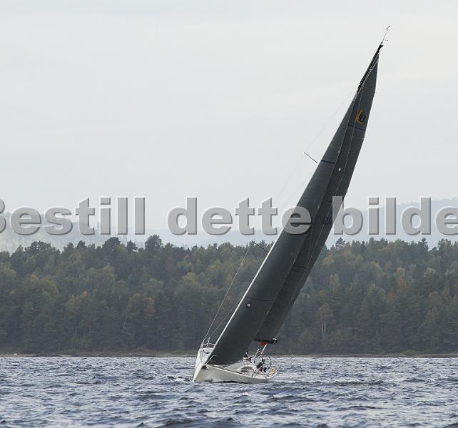 NOR12343_3.jpg