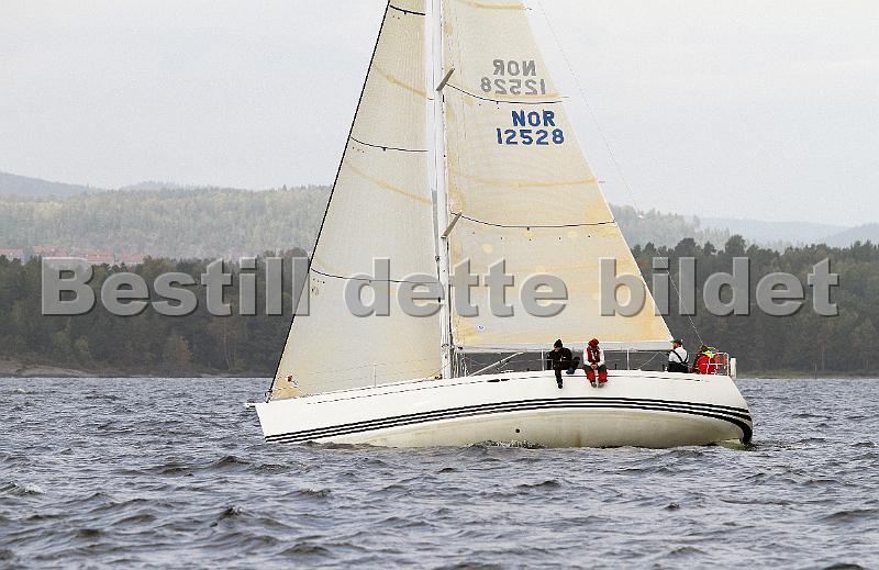NOR12528_6.jpg