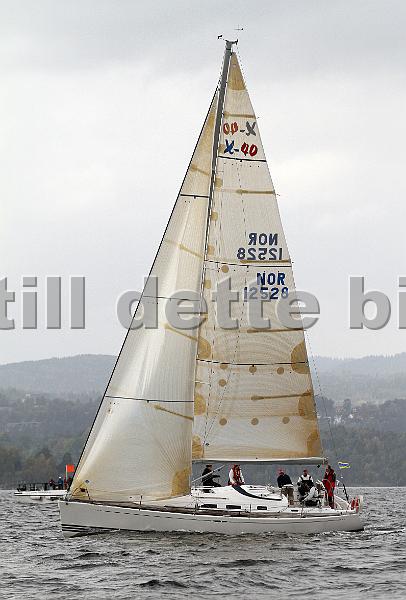 NOR12528_8.jpg