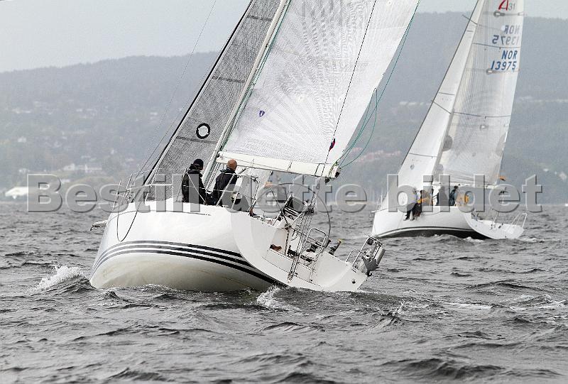 NOR13048_6.jpg
