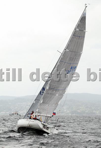 NOR13592_5.jpg