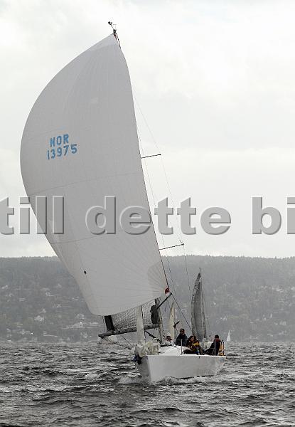 NOR13975_3.jpg