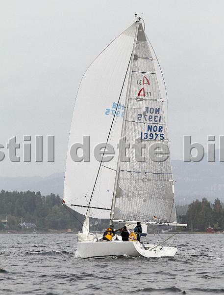 NOR13975_5.jpg