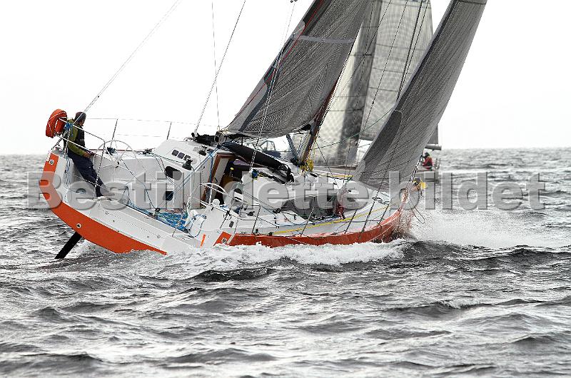 NOR14819_8.jpg