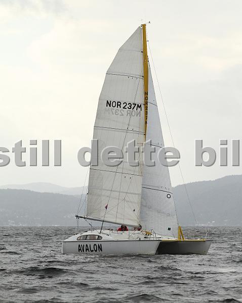 NOR237M.jpg