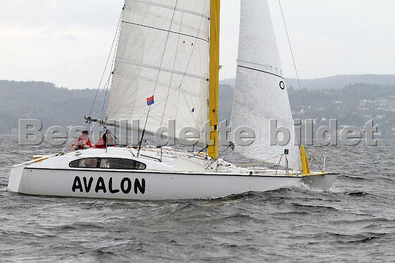 NOR237M_2.jpg