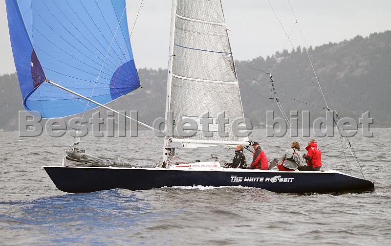 NOR317_2.jpg