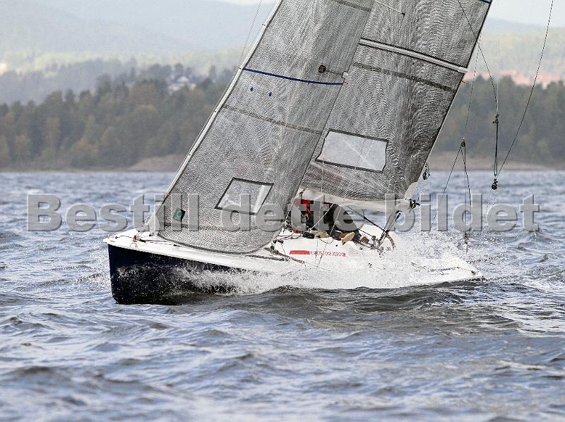 NOR317_6.jpg