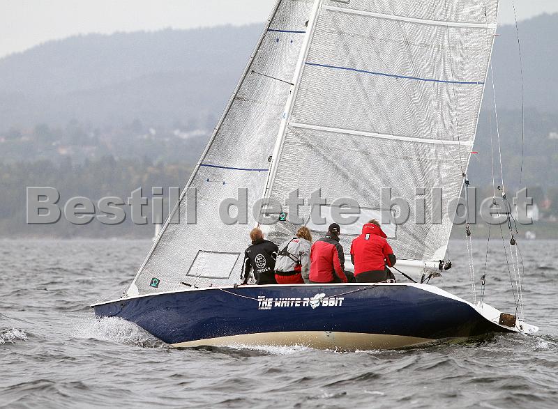 NOR317_8.jpg