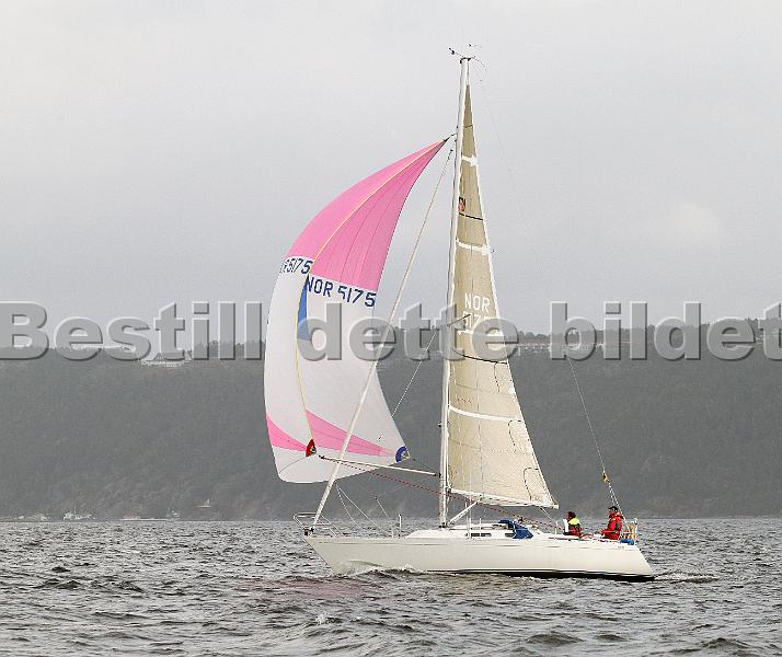 NOR5175_1.jpg