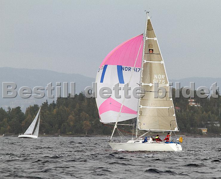 NOR5175_2.jpg