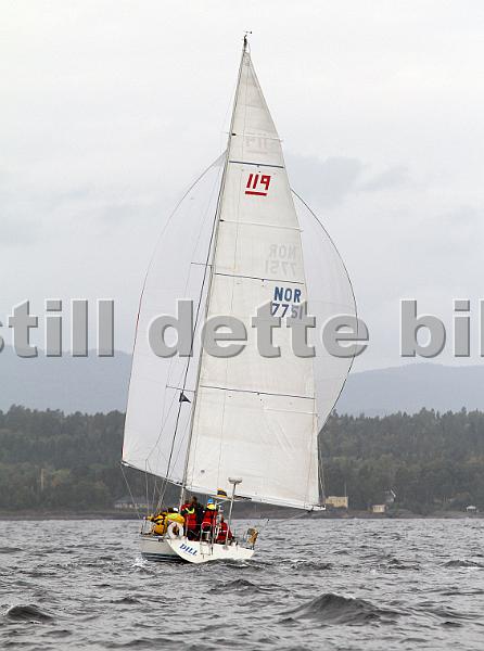 NOR7751_4.jpg
