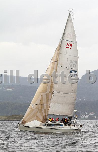NOR7751_5.jpg