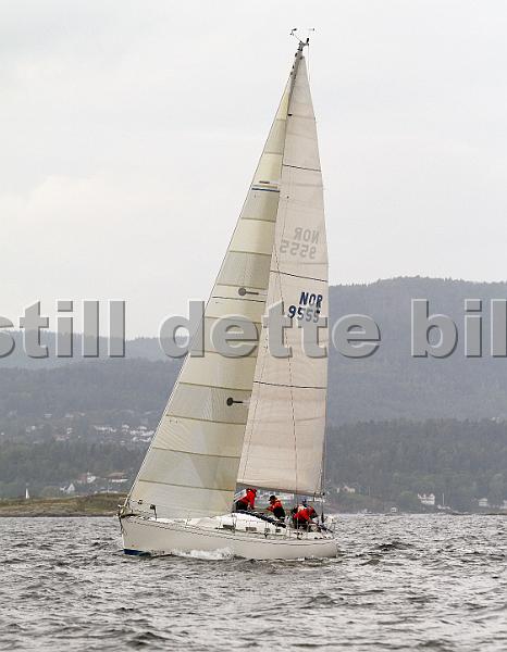 NOR9555_1.jpg