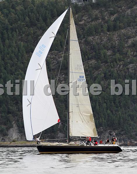 NOR12233_5.jpg