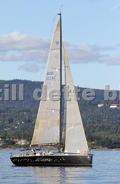 NOR12242_3.jpg