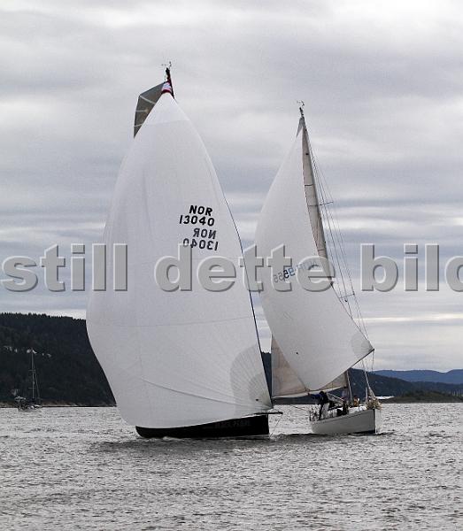 NOR13040_NOR9555_1.jpg