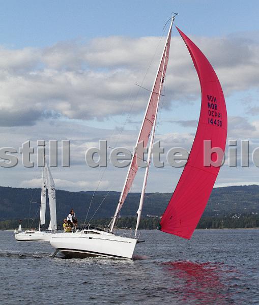 NOR14430_4.jpg