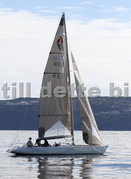 NOR186_1.jpg