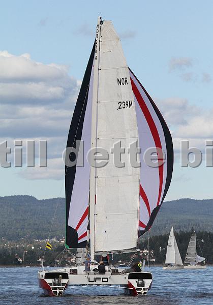 NOR239M_3.jpg