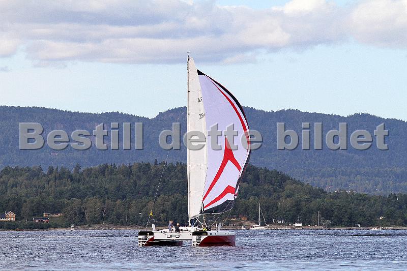 NOR239M_4.jpg