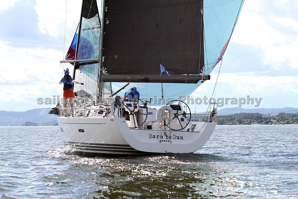 NOR15144_10.jpg